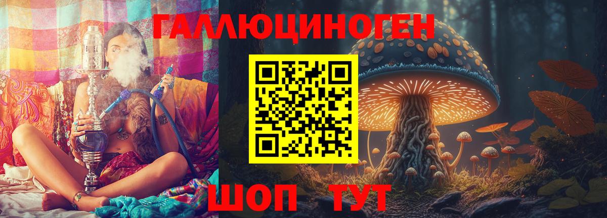 Псилоцибиновые грибы Psilocybine cubensis Карталы