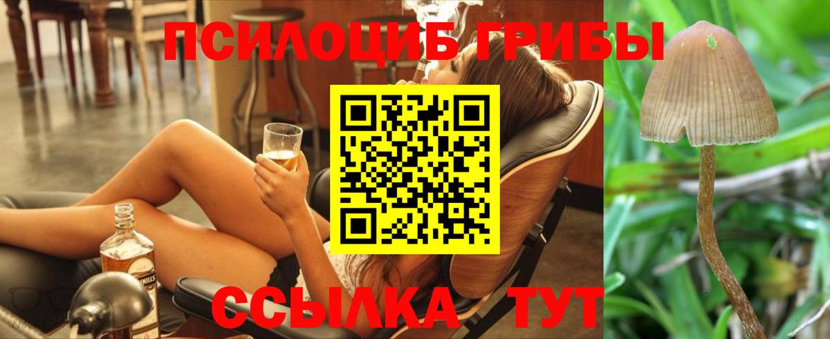 сколько стоит  Псилоцибиновые грибы прущие грибы  Вход с VPN  Карталы 