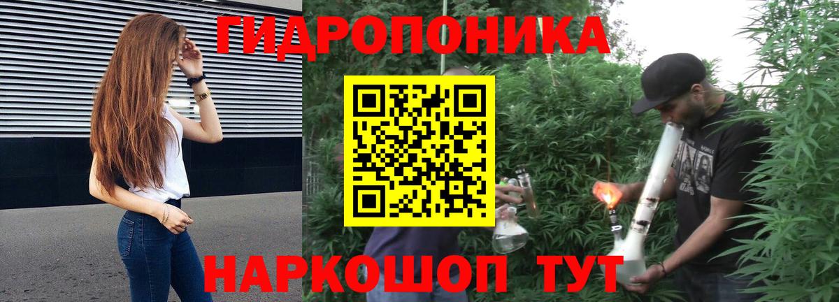Бошки марихуана VHQ  Вход с VPN  Карталы  Бошки Шишки Bruce Banner  МАРИХУАНА семена 
